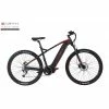 Earth Bikes Earth T-Rex - 29ER SP 600WH Hardtail Step Over Ebikes