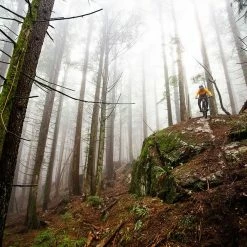 Norco SIGHT VLT A2 (29) 2020