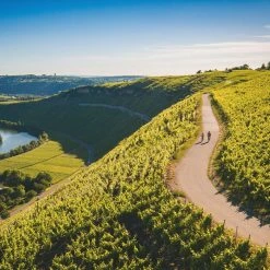 Step Through Ebikes Merida ESPRESSO City 400 EQ 2021