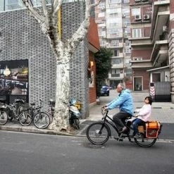 Cargo And Electric Trikes EZee Expedir Classic 9 Speed Mid Tail Cargo Bike