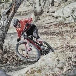 EZesty AM LTD Lapierre EMTB Step Over