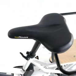 Eunorau Max Rear Hub Drive Cargo Electric Bike