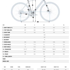 ORBEA GAIN D40 Step Over Ebikes