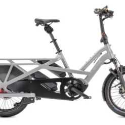 Cargo And Electric Trikes TERN GSD R14 2021 500WH