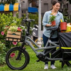 Cargo And Electric Trikes TERN GSD R14 2021 500WH