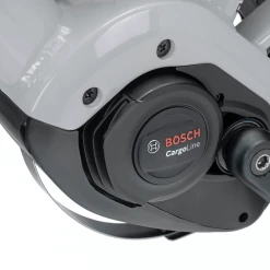 Coupon 👏 Cargo And Electric Trikes TERN GSD R14 2021 500WH ✨ 32 Cargo And Electric Trikes TERN GSD R14 2021 500WH