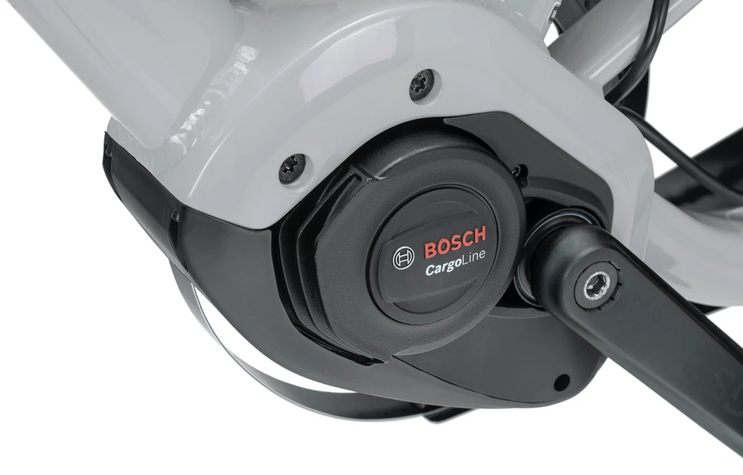 Coupon 👏 Cargo And Electric Trikes TERN GSD R14 2021 500WH ✨ 16 Cargo And Electric Trikes TERN GSD R14 2021 500WH