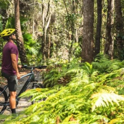 VelectriX Ascent Pulse Mountain Ebikes