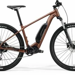 Merida EBIG.NINE 300SE Hard Tail 2021 Step Over